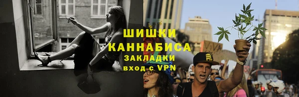 сатива Мегион