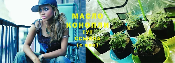 сатива Мегион