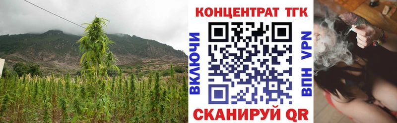 ТГК вейп с тгк  Купить где  Гудермес 