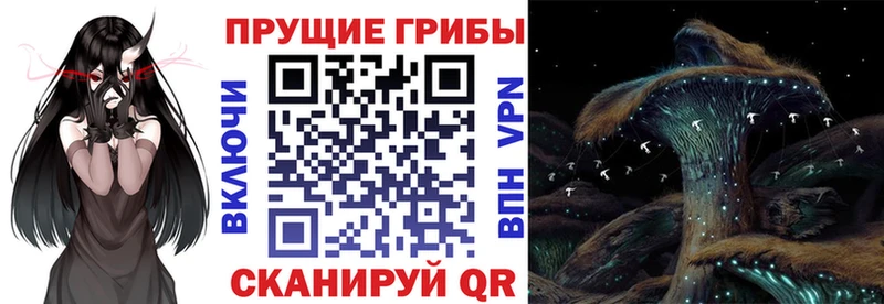 Купить  Гудермес  Псилоцибиновые грибы Magic Shrooms 